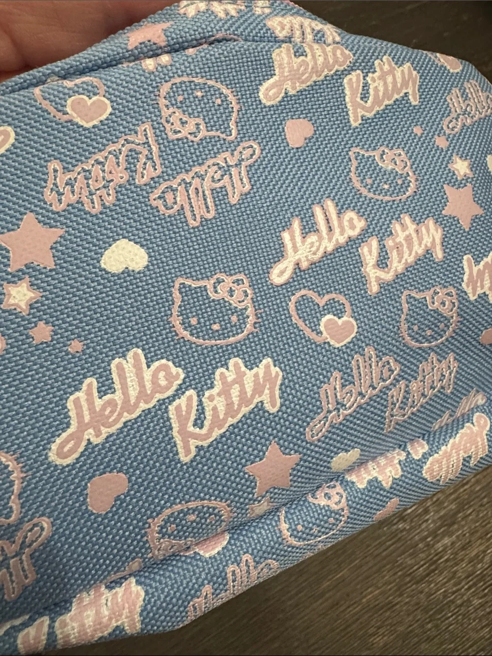 Sanrio Hello Kitty pencil case or cosmetic pouch